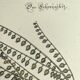 Old bird engraving - Screaming Plover - Zoological plate by Seligmann & Catesby