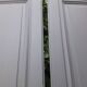 Pair of doors 242,5x116 of antique closet