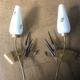 Pair of wall lamps