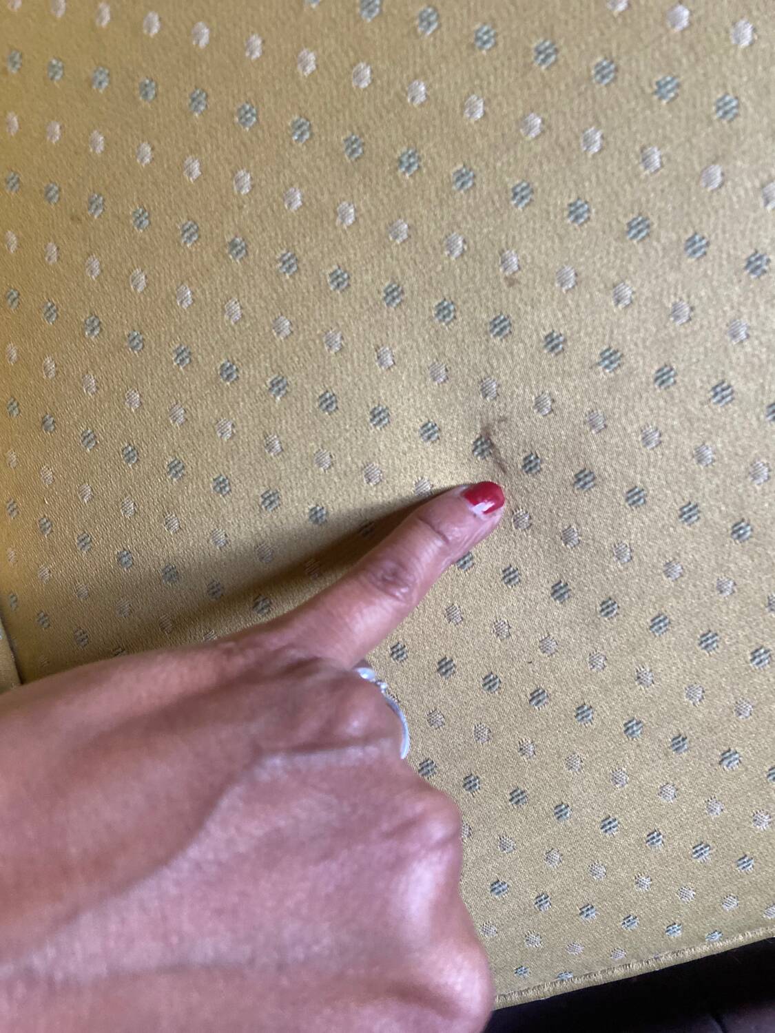 Small padded toad bench