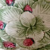 Fruit strainer barbotine