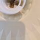 Bell Pendant Lamp White Cream Fontana Arte