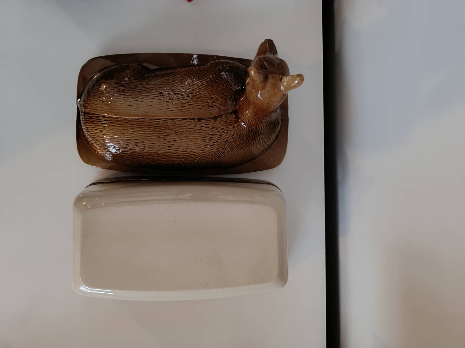 Large doe / deer / roe deer terrine