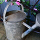 Zinc watering can