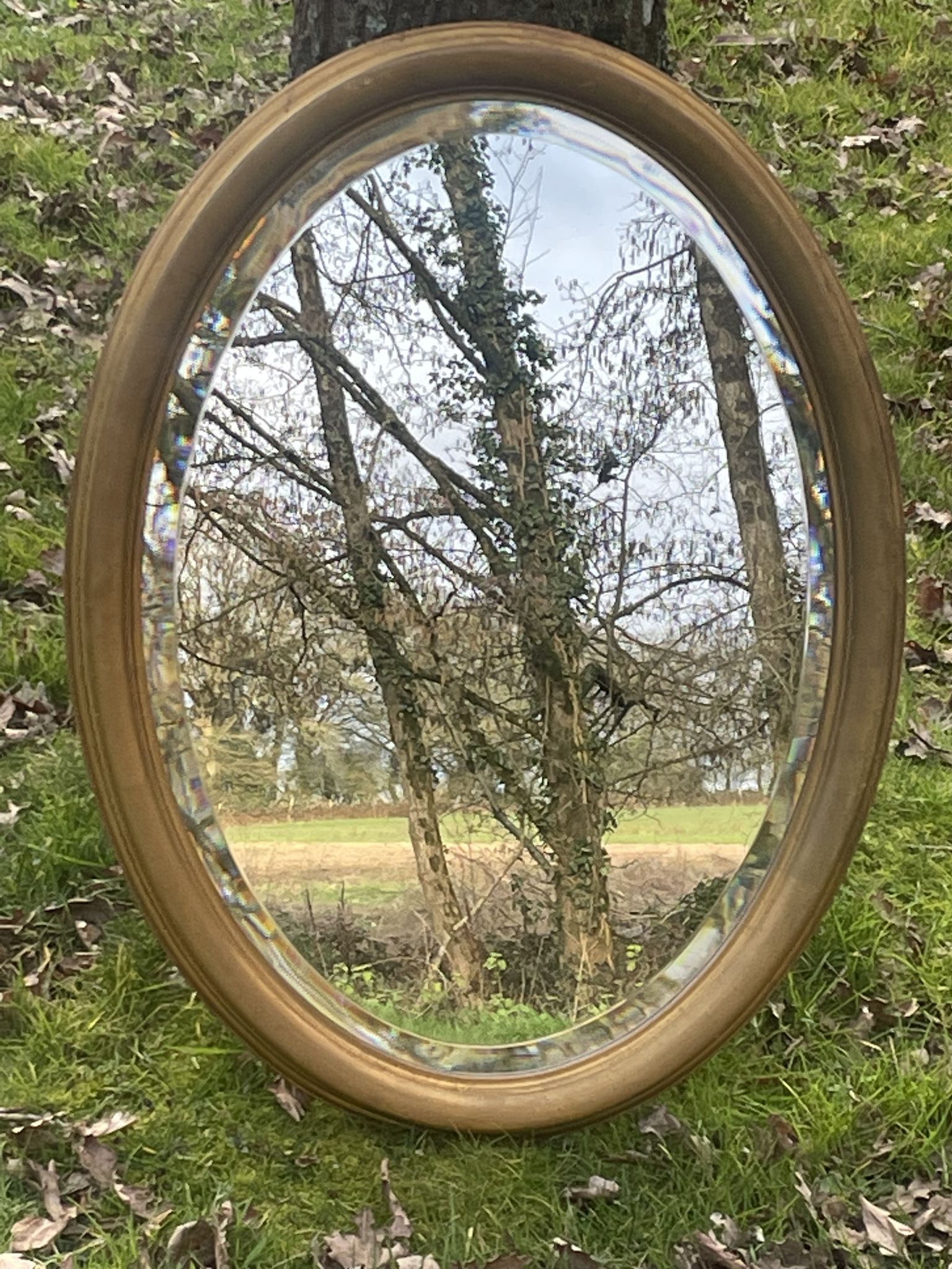 Bevelled golden oval mirror, 79 x 59 cm
