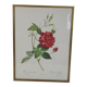 Large framed lithograph by Redouté