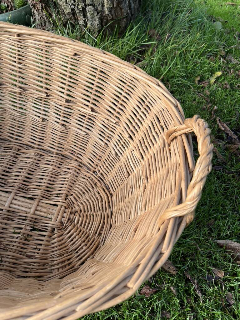 Wicker basket with handles