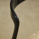 Chairs by Gigi Radice, 1956, Set of 2