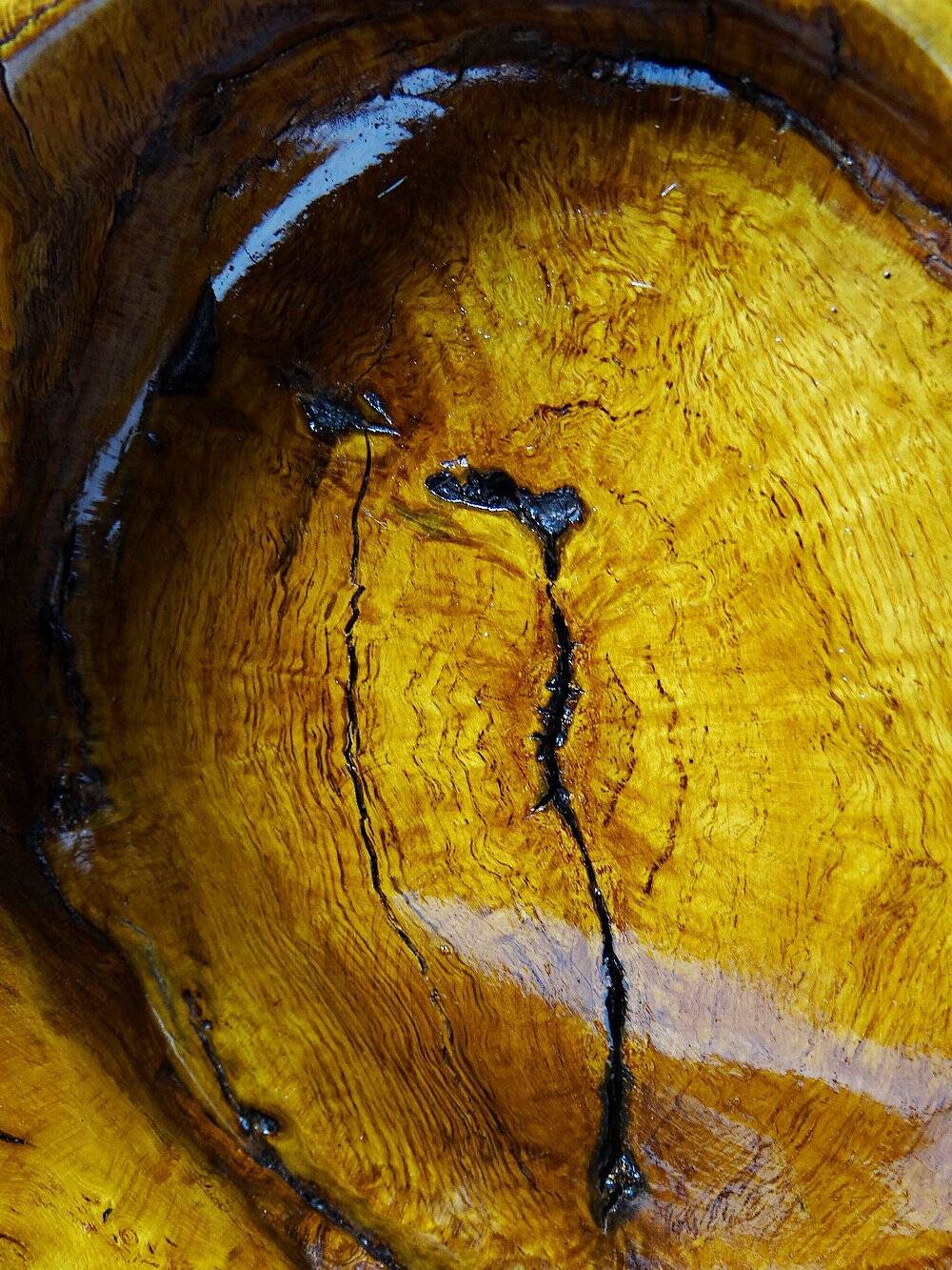 Brutalist vintage olive wood monoxyle catchall from the 50s-60s, handcrafted.