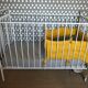 Baudou/Bonpoint bar bed in white metal for children