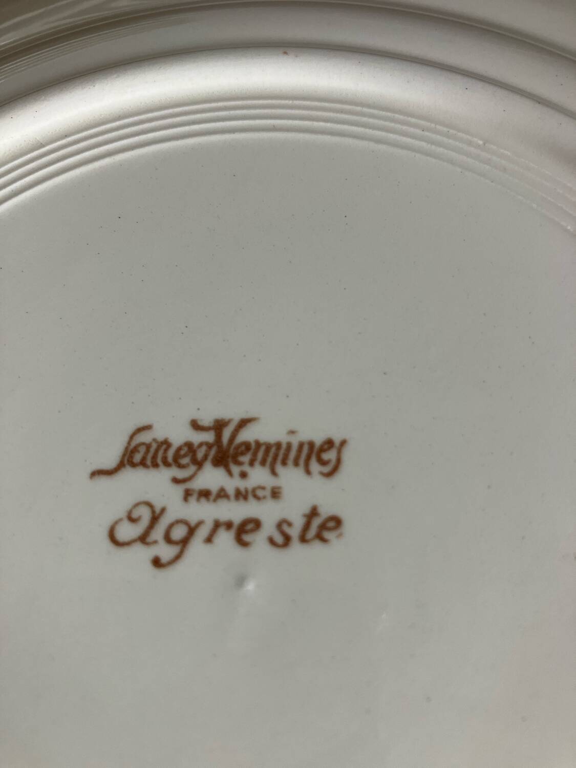 6 Sarreguemines dinner plates
