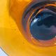 Large Biot salad bowl