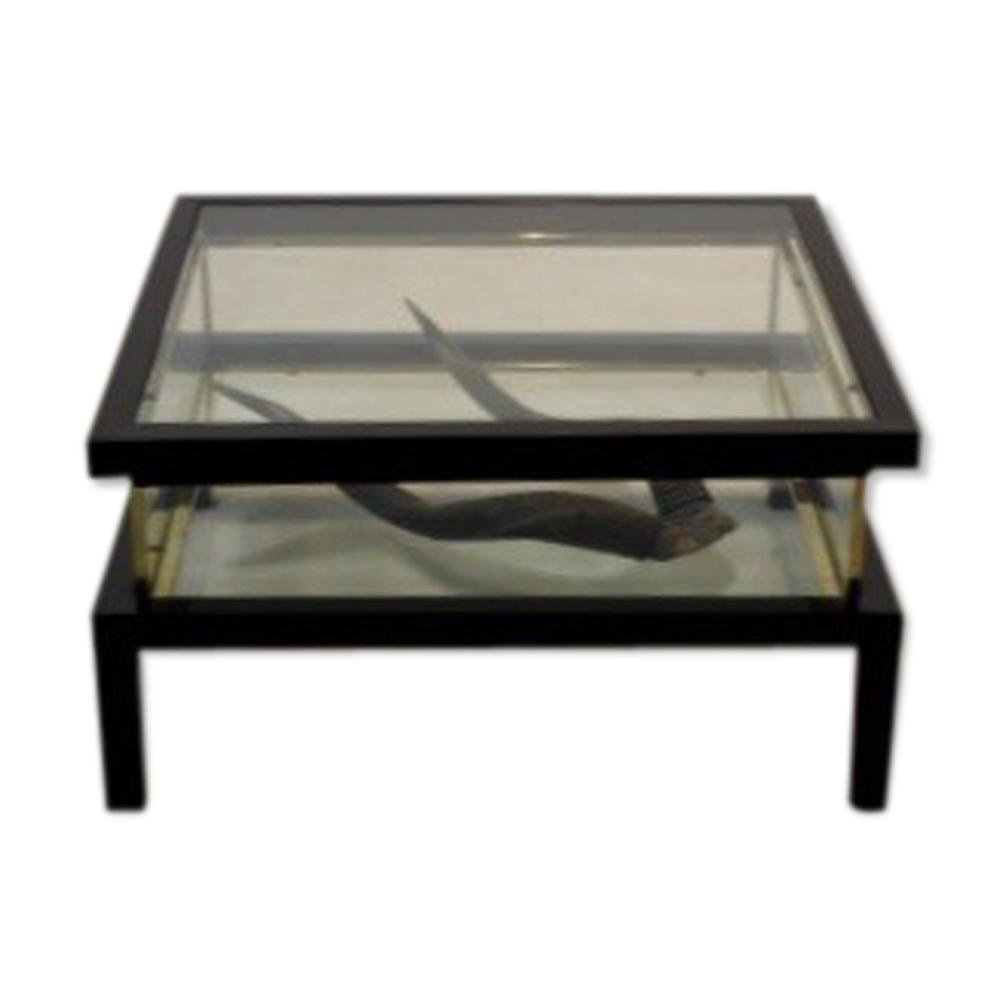 Table low Romeo Rega