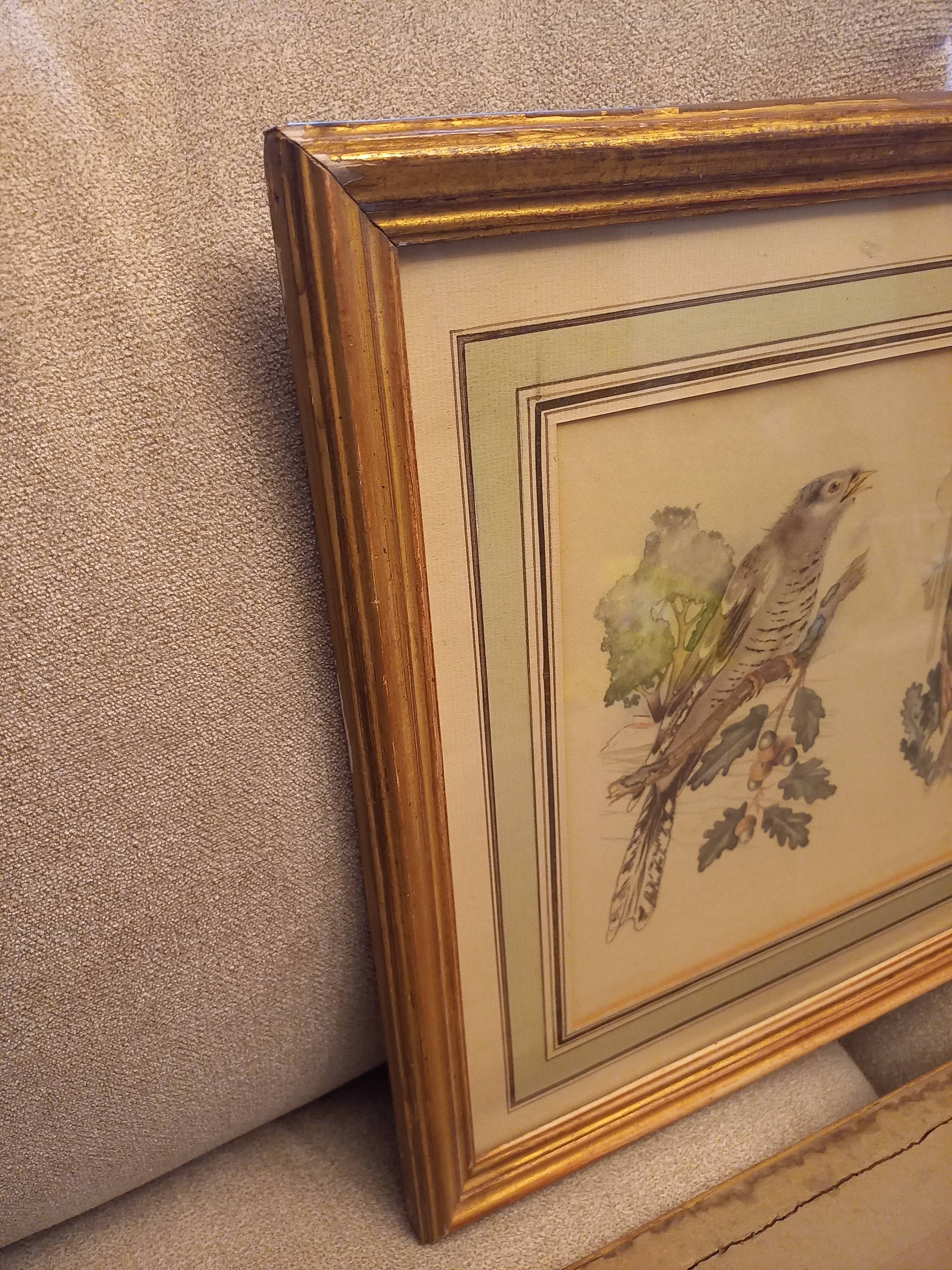 Lot 2 watercolors ancient birds