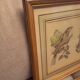Lot 2 watercolors ancient birds