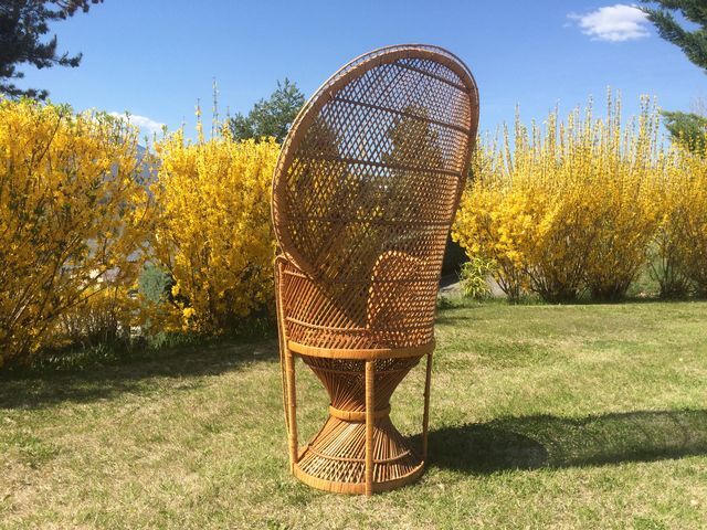 Emmanuelle wicker and rattan chair for adults 1970s
