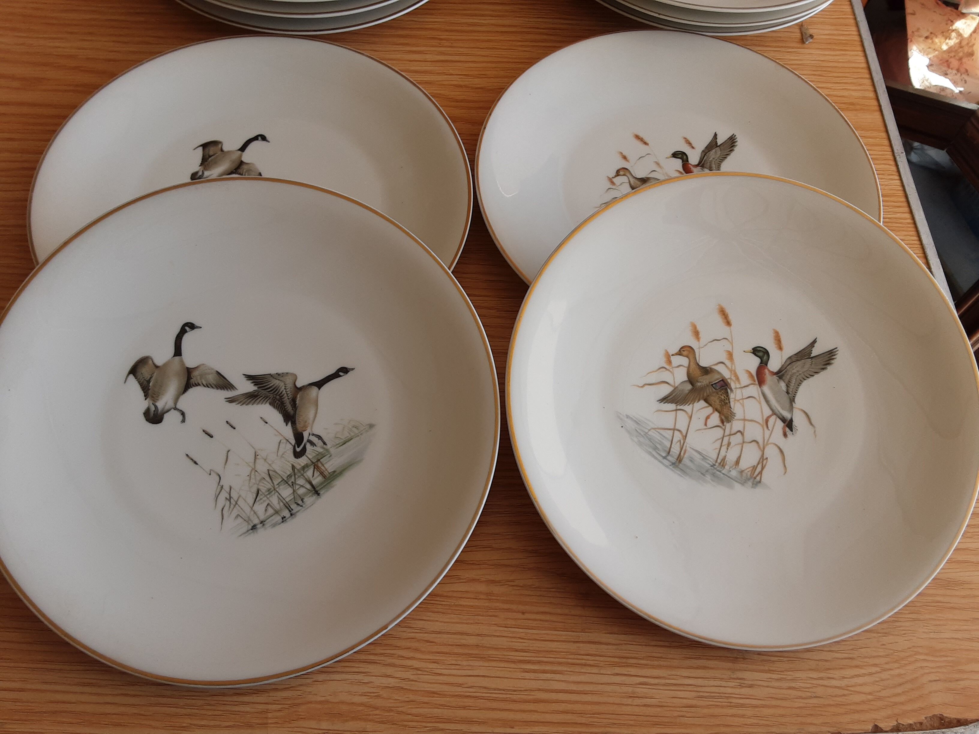 10 flat plates porcelain of paris game ducks pheasants