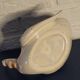 Swan plant pot