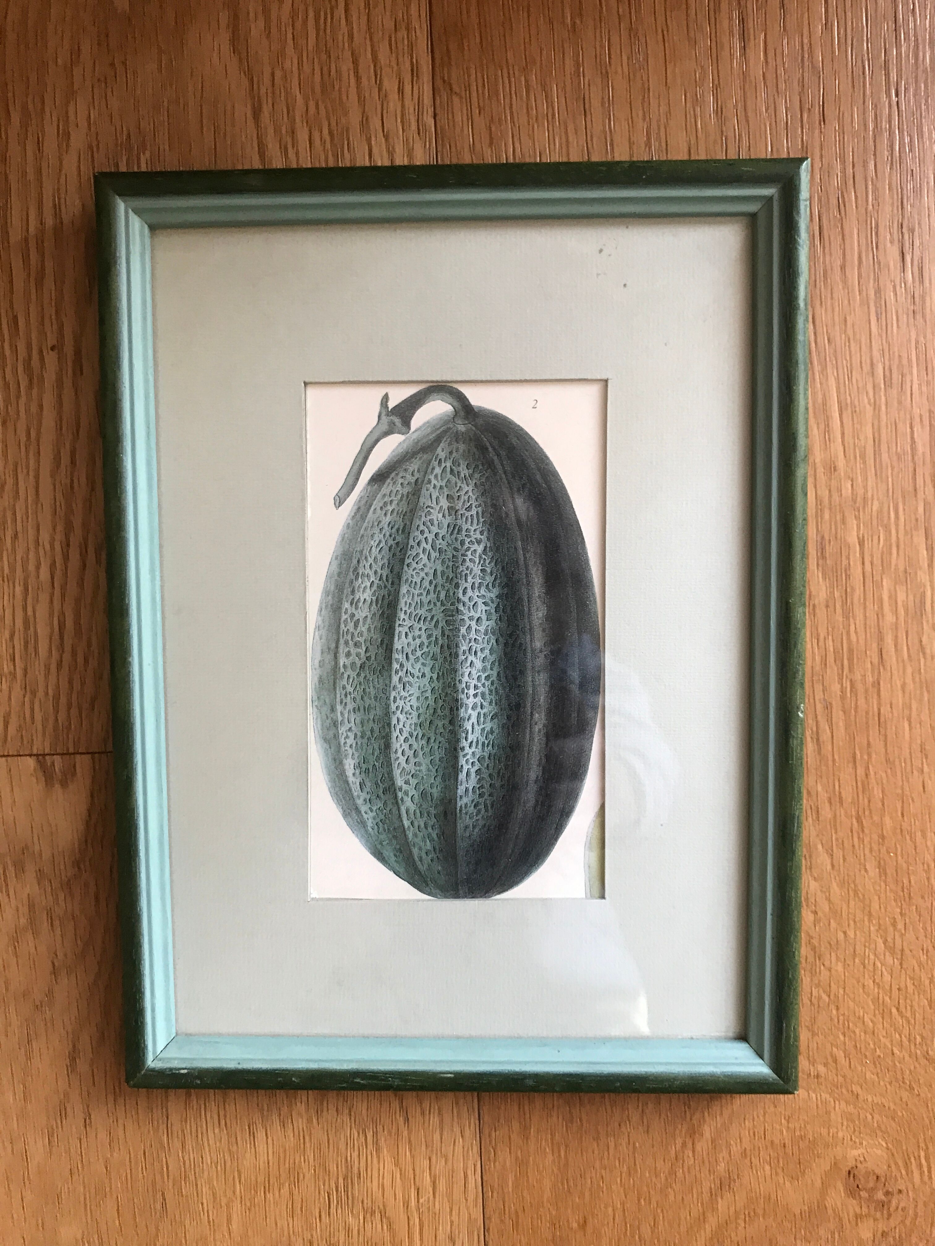 Lot of 6 old vegetable images