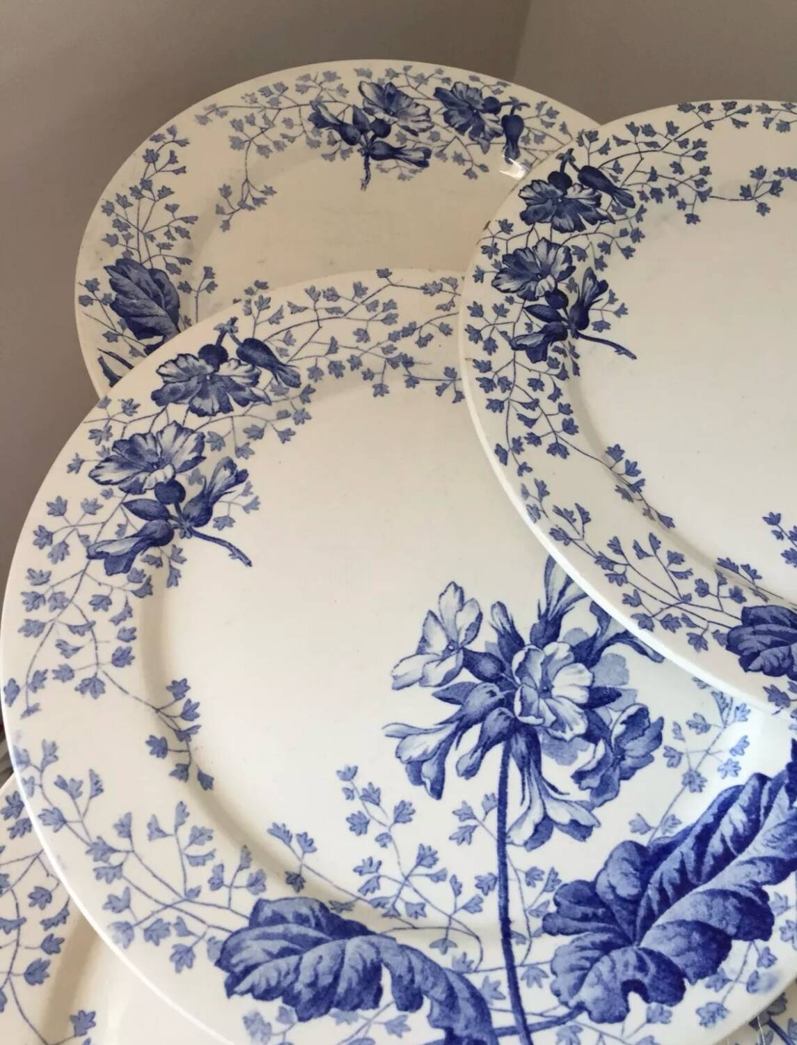 Ironstone plate Creil and Montereau primrose decoration 19th century