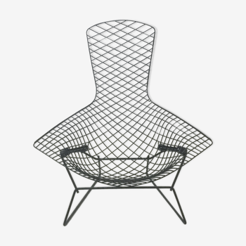 Armchair "bird" black Harry Bertoia for Knoll  1970