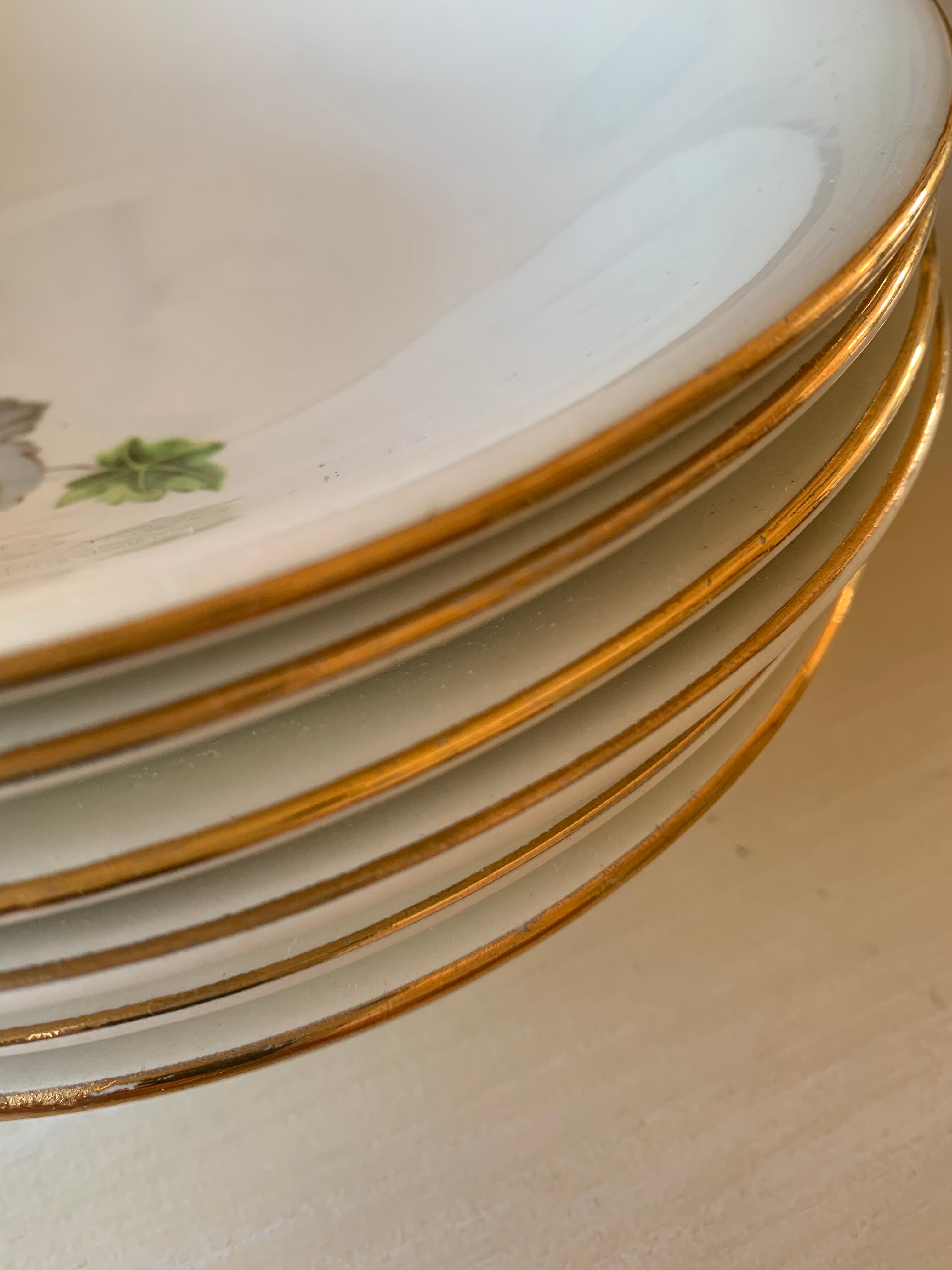 6 Gien hollow plates