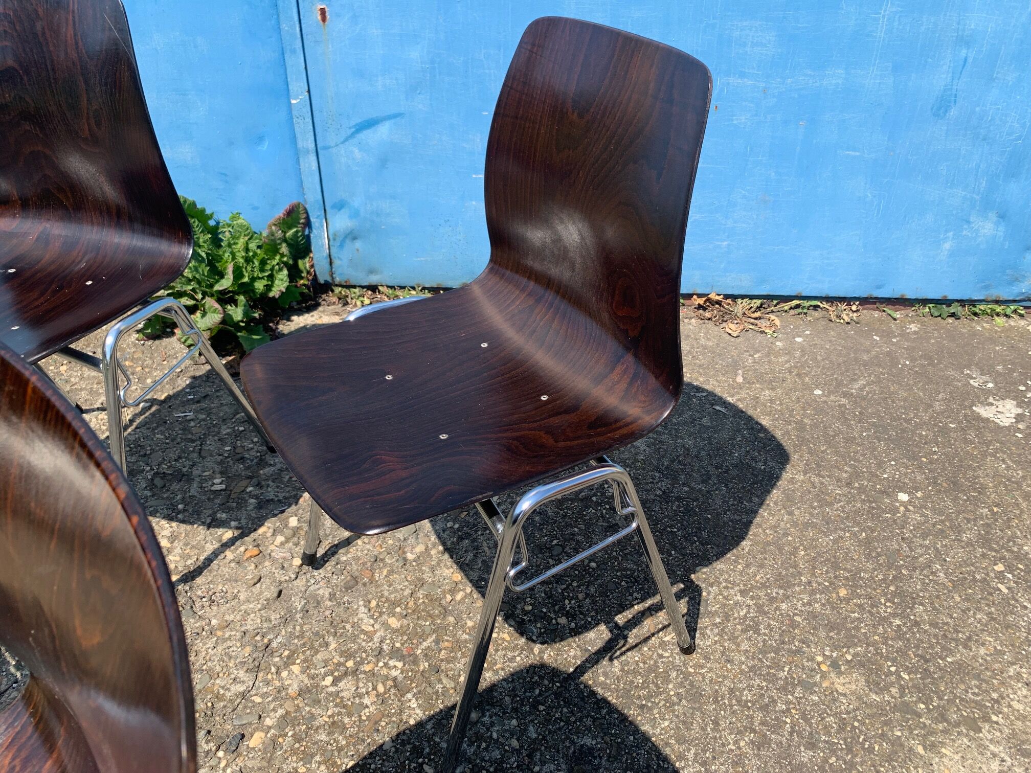 Set of 2 Galvanitas S26 Pagholz chairs, 1960s