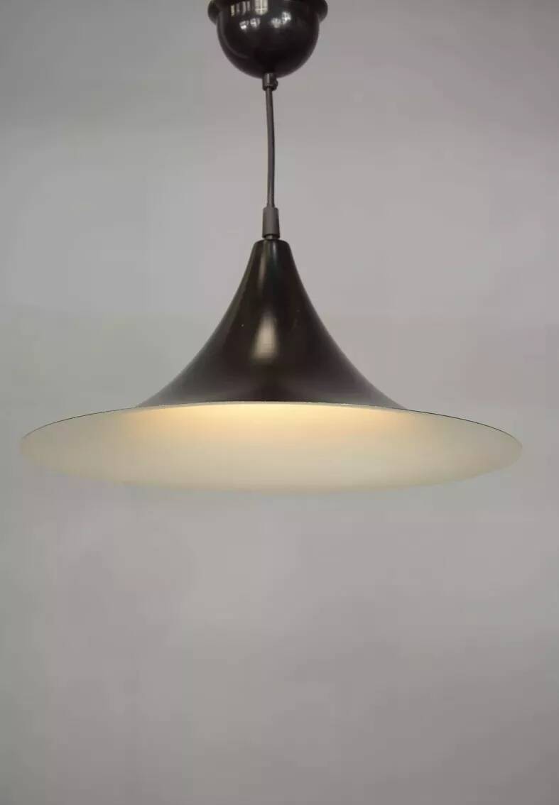 Black lacquered metal pendant light