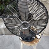 Cinni fan