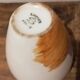 Pair of Limoges porcelain vases