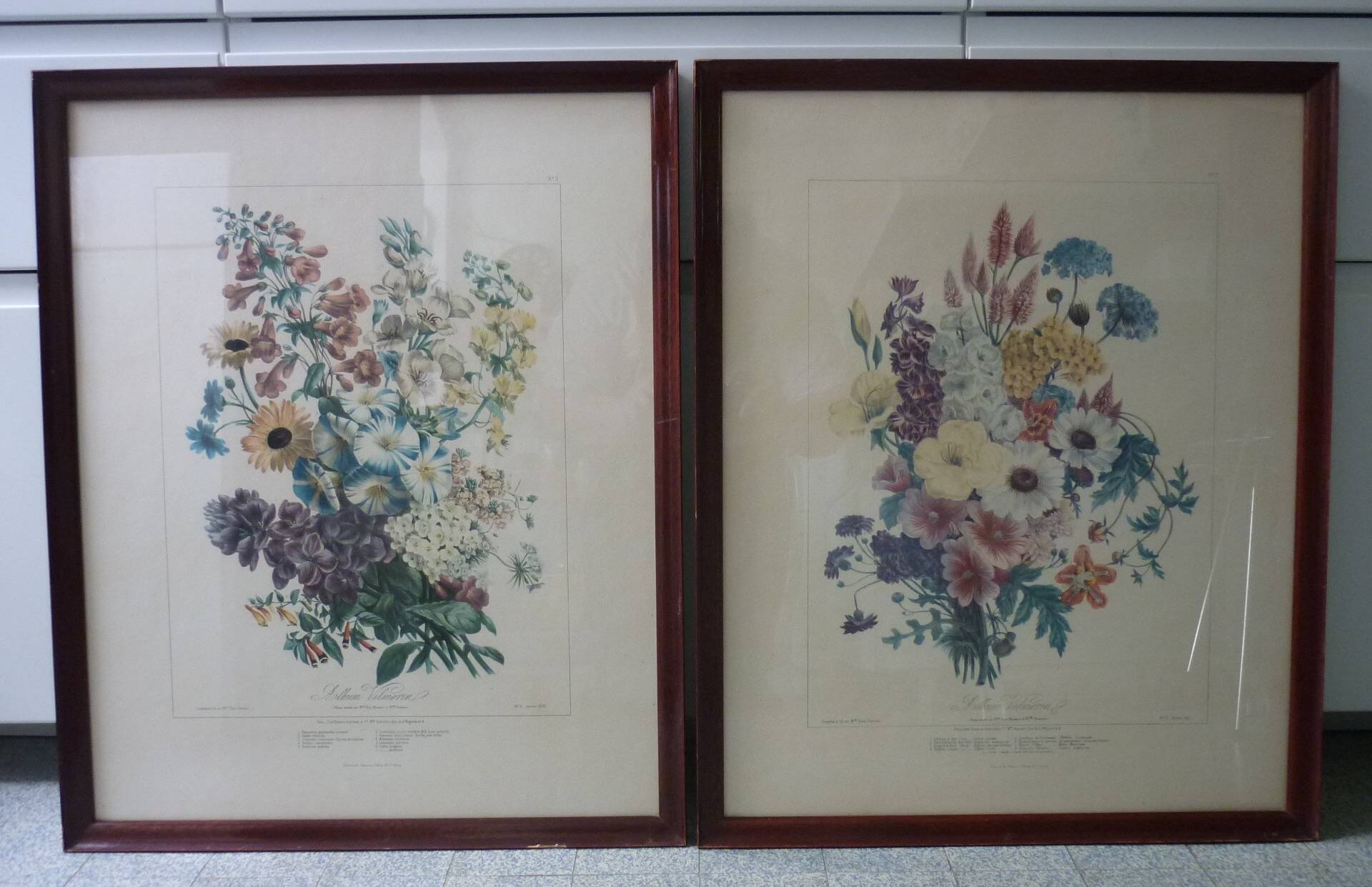 Framed Vilmorin lithograph, bouquet No 7, 1857, E. Champin