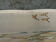 School poster Rossignol collection years 50,N° 45 and 46 the tundra - the virgin forest