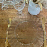 Pair of Dishes Plates Duralex model Marguerite vintage