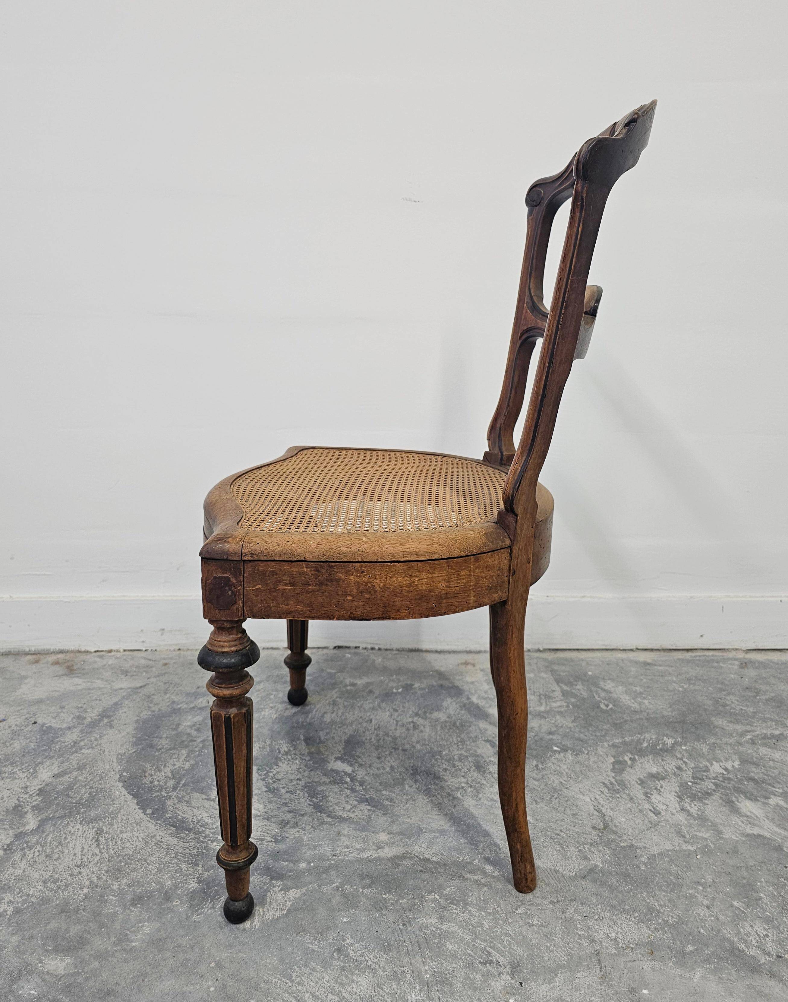 Set of 6 antique dining chairs in solid walnut, cane seats, 19th century.