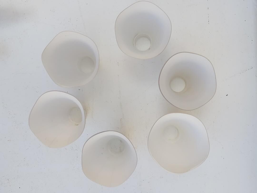 Pair of arum sconces edition Lunel Paris 50s