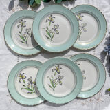 6 vintage white and green porcelain dinner plates Iris Moulin des Loups "Sargosse" 1950s