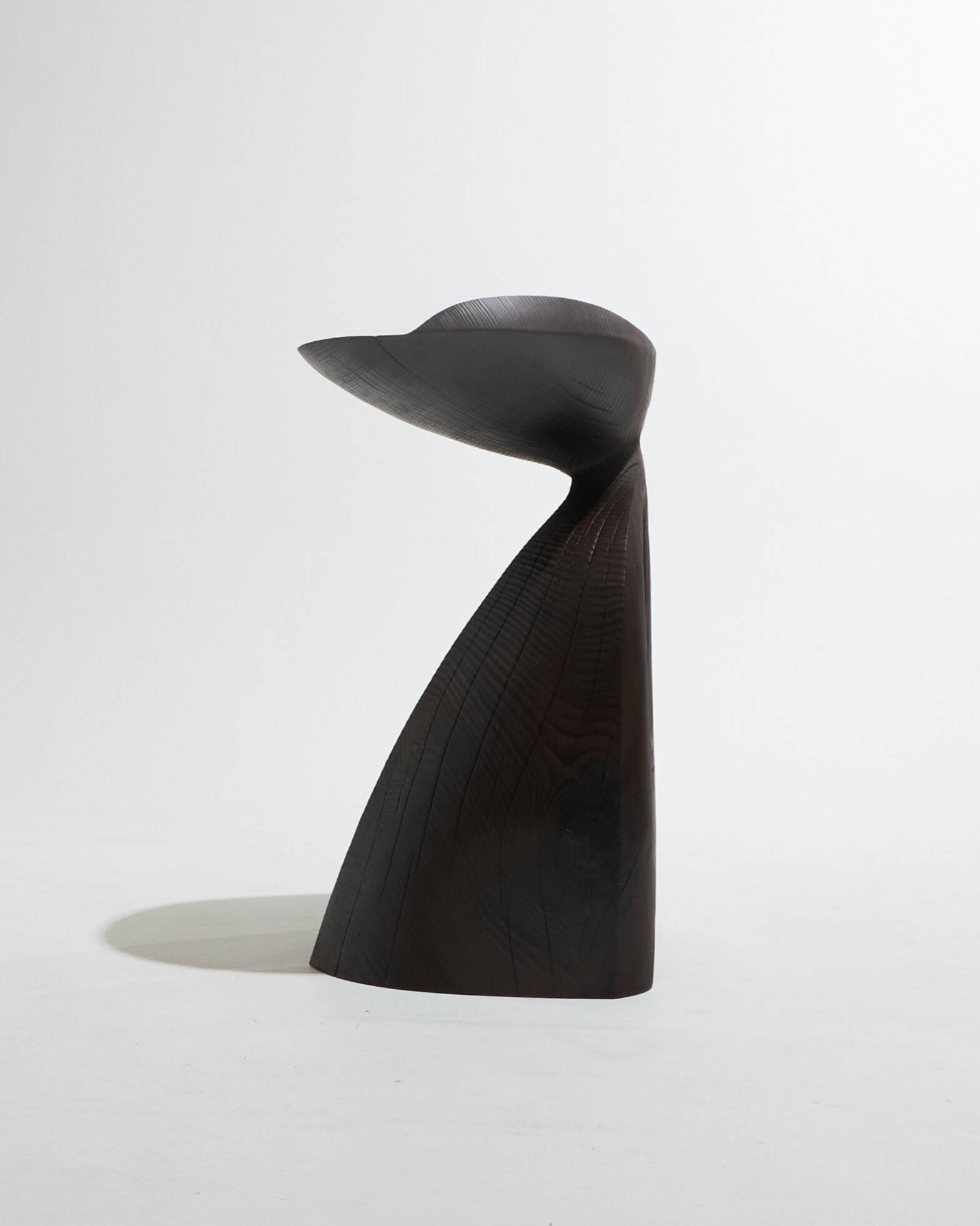 Guéridon Agalychmis en bois noir
