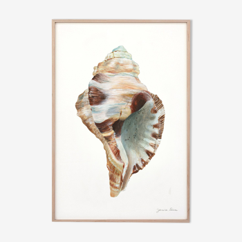 "Abelle", the shell, art print 21/29.7 cm