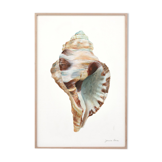 "Abelle", the shell, art print 21/29.7 cm