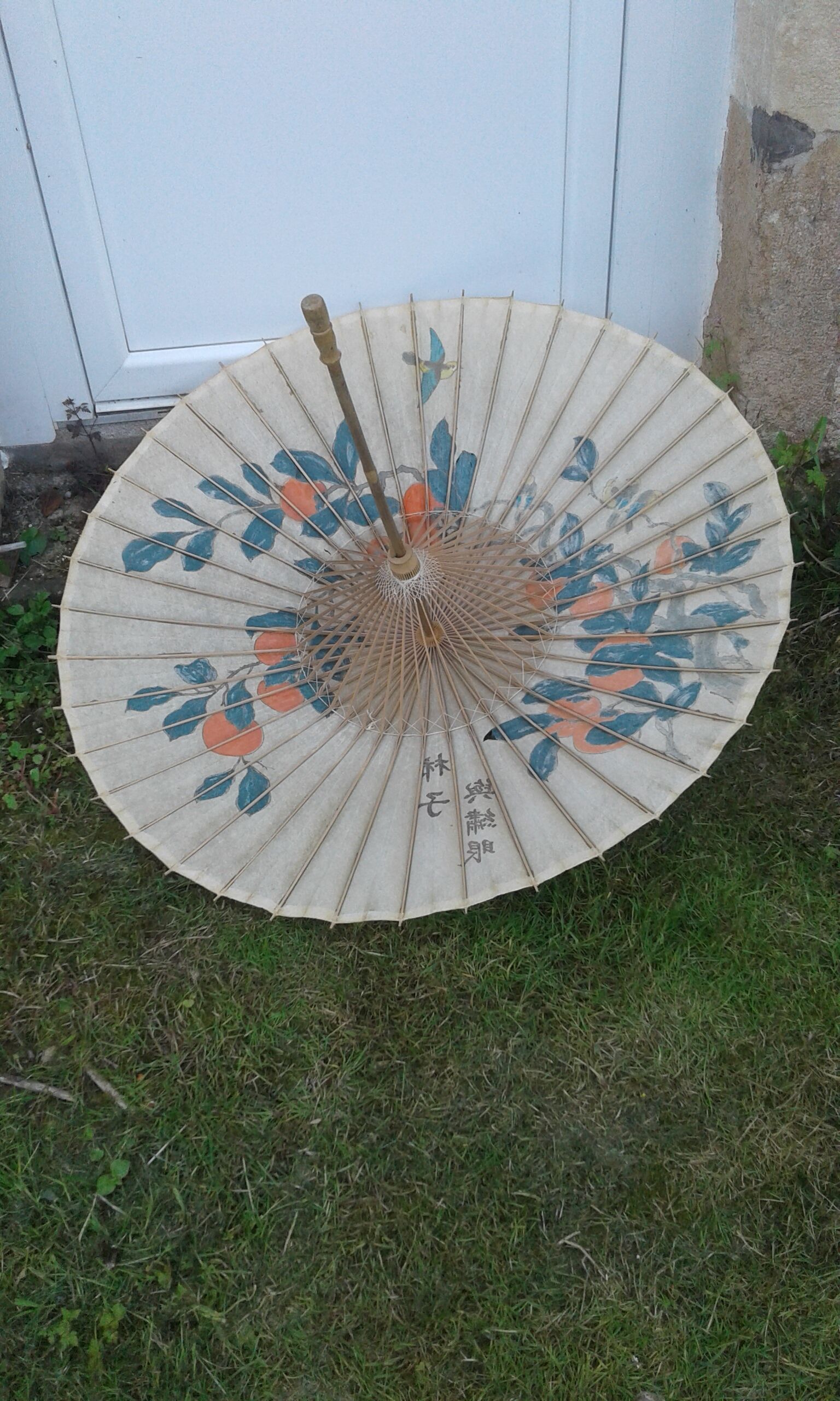 Asian umbrella