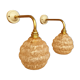 Swan neck wall lights in brass and Clichy glass