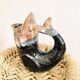 Fish pitcher