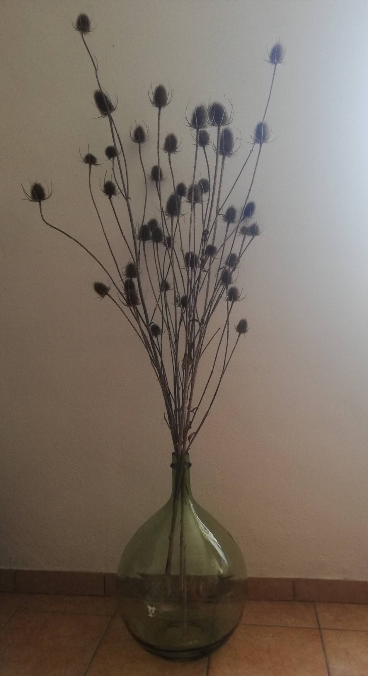 Green blown glass demijohn 25l