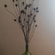 Dame-jeanne en verre soufflée verte 25l