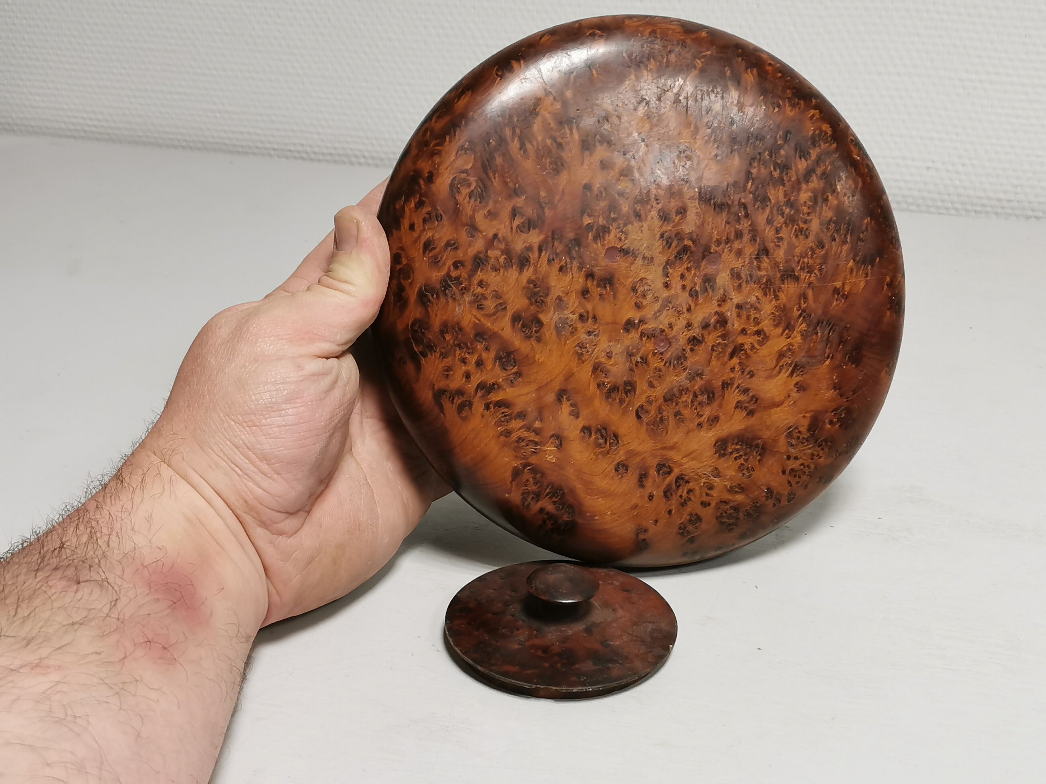 Boite ancienne ronde en loupe d'orme ou thuya
