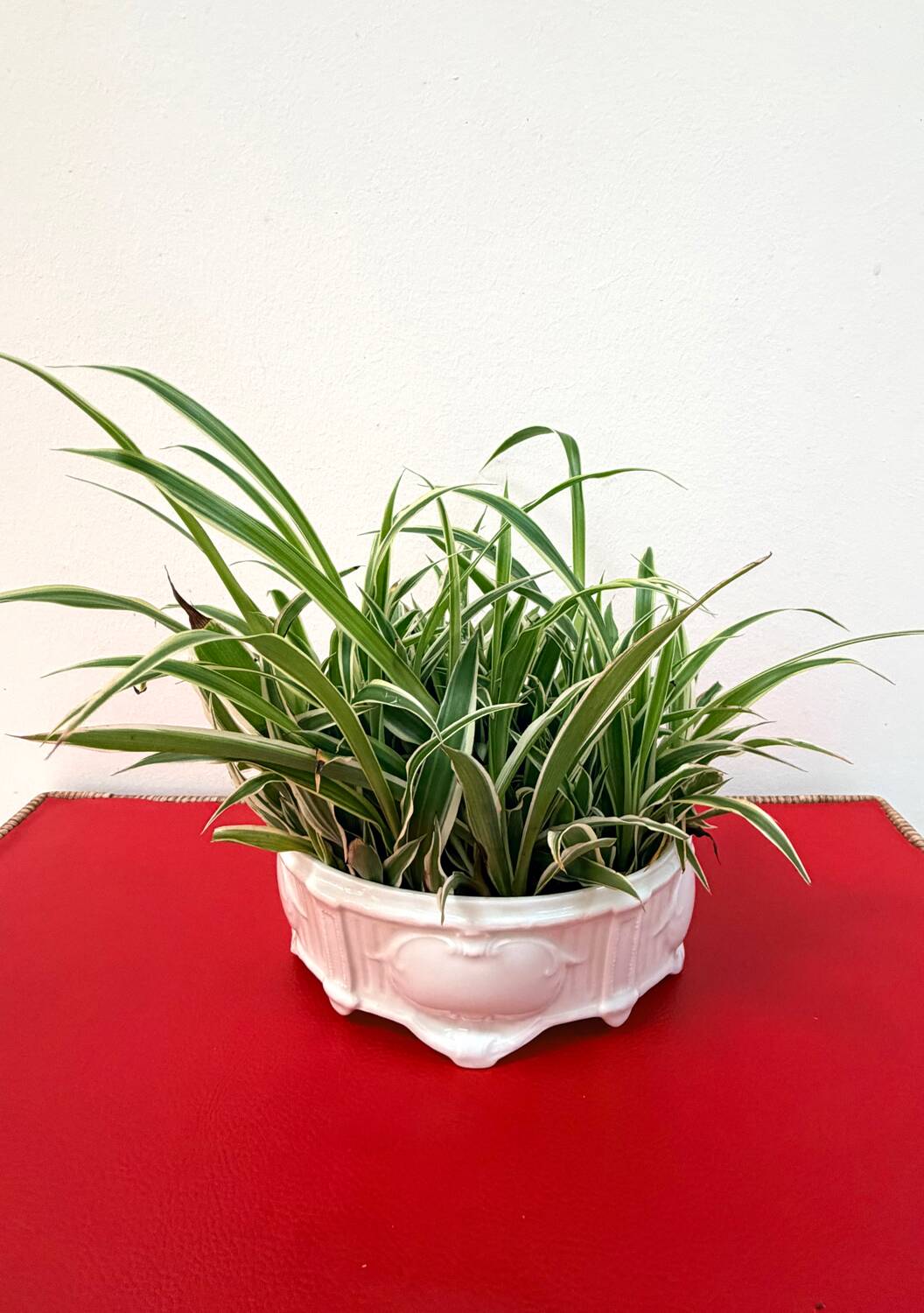 Ashtray / Flower pot in BH Limoges porcelain