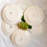 6 mismatched old flat plates