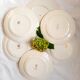 6 mismatched old flat plates