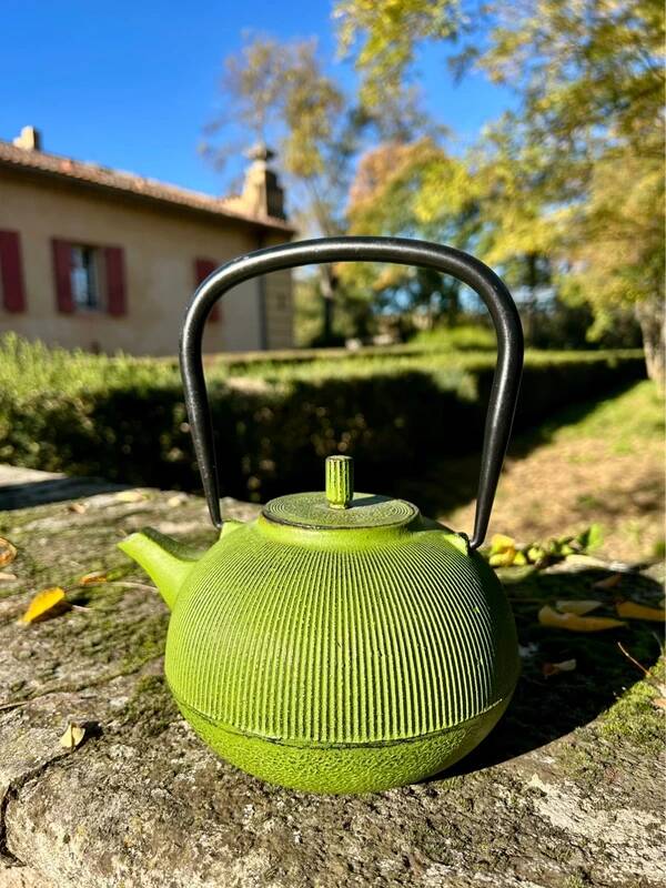 Green cast iron teapot