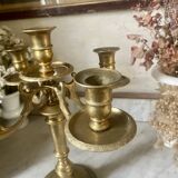 Golden bronze chandelier